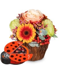 Happy Surprise with Munz chocolate ladybird (Minimum)