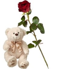 1 Red Rose with teddy bear