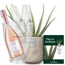 This is Anthony (Aloe vera) with Prosecco RosÃ© Albino Armani DOC (75 cl), incl. ice bucket and two sparkling wine flutes