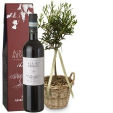 Summer Dream (miniature olive tree) with Ripasso Albino Armani DOC (75 cl)