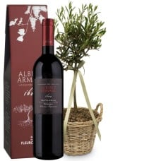 Olive tree «Summer Dream» with Ripasso Albino Armani DOC (75 cl)