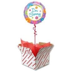 I'm Sorry Balloon Gift