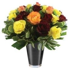 Mixed Dozen Roses
