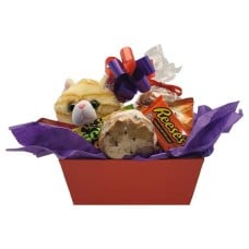 Valentine's Day Kitty Snack Pack (1/2 Dozen)