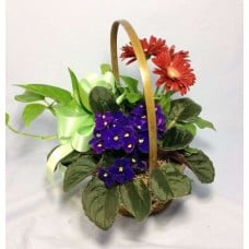 Blooming Basket
