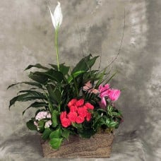 French Garden Planter (Large)