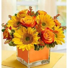 Modern Fall Enchantment