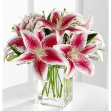 Pretty Pink Lilies (Medium)