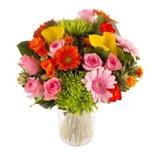 Flowers And Colors