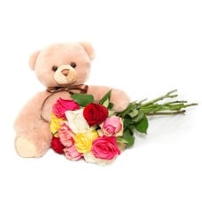 Roses And Plush