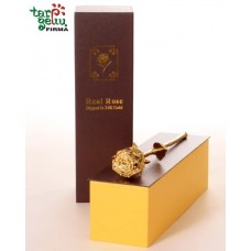 Golden Rose