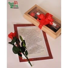 "Love letter and Rose"