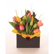 "Beautiful Tulips" (Small)