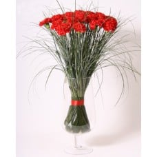 Red carnation bouquet (Small)