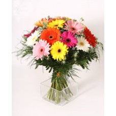 Motley gerberas bouquet (Small)