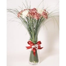Carnation bouquet for Father (Medium)