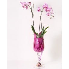Arrangement of orchid RETRO (Small)