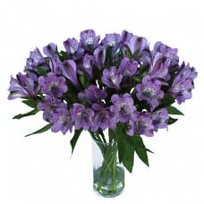 Purple Alstroemeria Bouquet