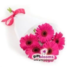 Hand-tied Bouquet of 5 pink gerberas
