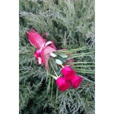Bouquet of Flowers - 3