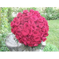 Round bouquet of 51 red roses