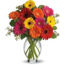 Bouquet of Flowers Gerbera Brights