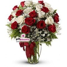 25 Red and White Roses Divine Love