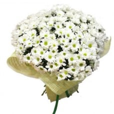 Bouquet of flowers White Сamomile Сhrysanthemums