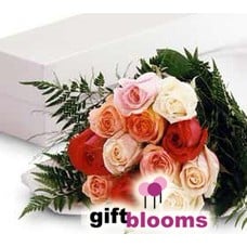 Bouquet of Mixed Color Roses Rainbow