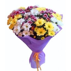 Bouquet of 15 chrysanthemums