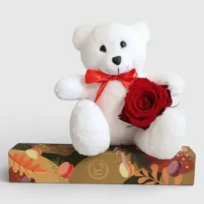 White Teddy bear with a rose and a gift