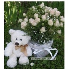 Gift Set "Plush Love" with Spray Rose Basket & Teddy Bear