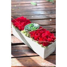 red rustic love