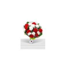 Bouquet of carnations (Normal)