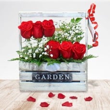 Rose Garden