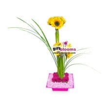 Floral Arrangement For Her-5