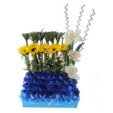 Blue Flowers Arrangement