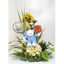 Birth Arrangement-1