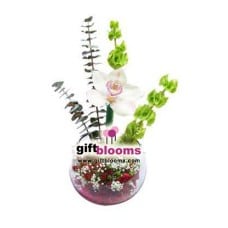 Arrangement Of Orchids