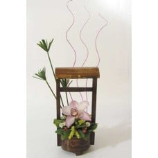 Arrangement With Orquidea