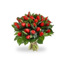 Royal Red