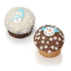 Winter Belgian Chocolate Gourmet Cupcakes- 6 Pack