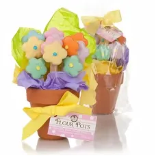 Pastel Flour Pot