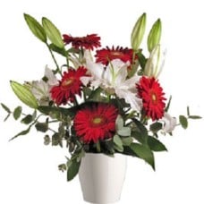 Lilies And Gerbera