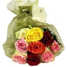 Colorful Roses (15 Roses)