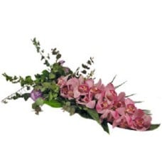Exotica Orhideja - 1