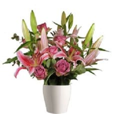 Lilies And Roses