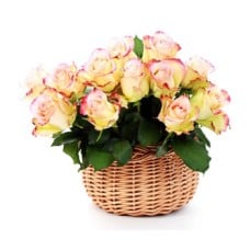 Pastel Basket