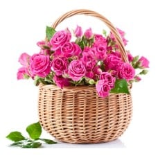 Pink Cart