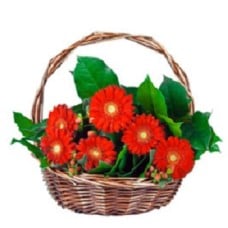 Basket With Gerbera - 1